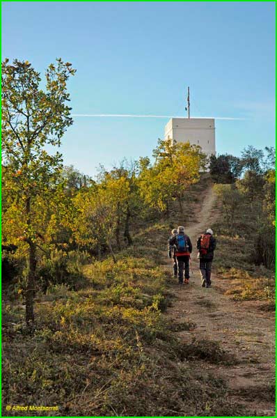 ruta Bosc de Can Bosquerons en Barcelona