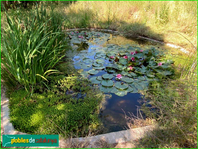 track Bosc de Can Bosquerons en Barcelona