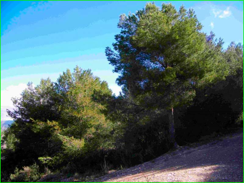 Manresa en Barcelona