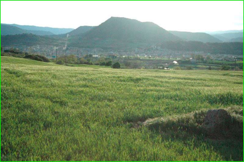 track Bosc de Can Font en Barcelona