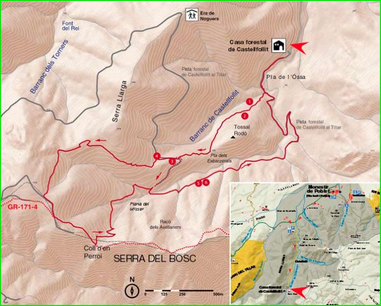 Bosc de Can Pantiquet en Barcelona