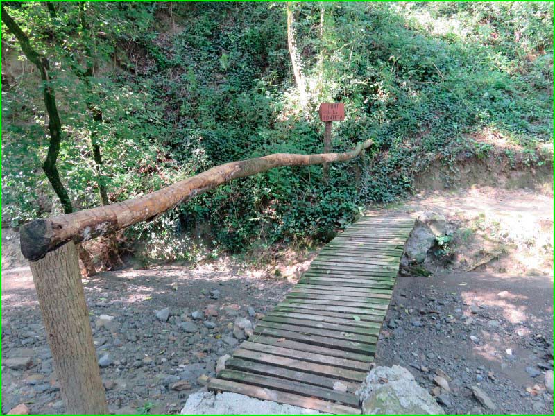 Bosc de Can Pantiquet en Barcelona