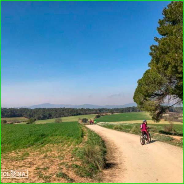 track Bosc de Can Torres - Bosc de Can Jornet en Barcelona
