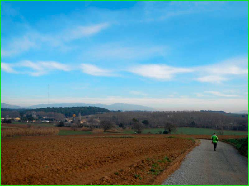 Espai Rural de Gallecs en Barcelona