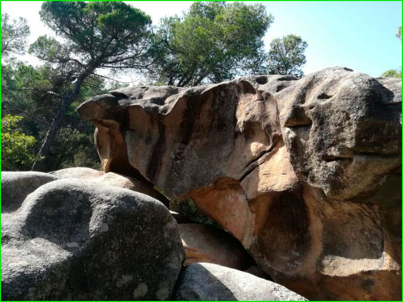 track Bosc de Manhivern - Mirador de les Planes - Roca de Droc en Barcelona