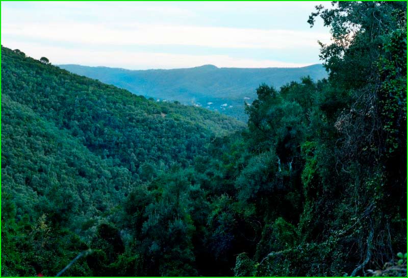 Espai d'interès natural de les Gavarres en Gerona