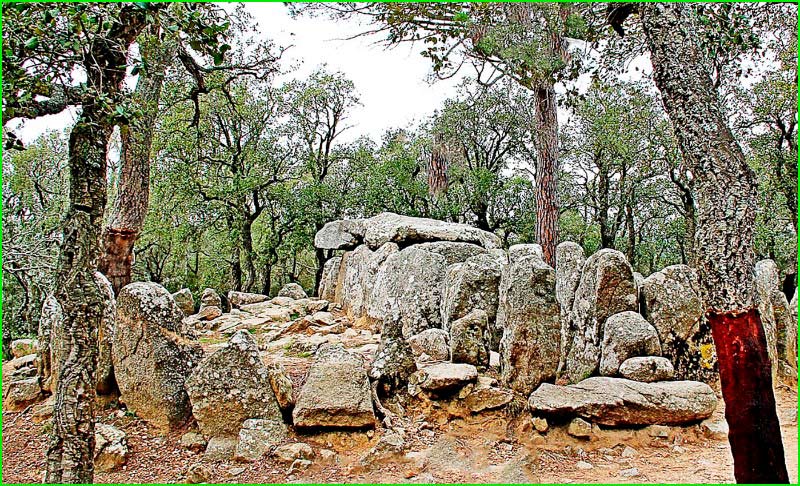 ruta Bosc de Mas Reixac de Bell-lloc en Gerona