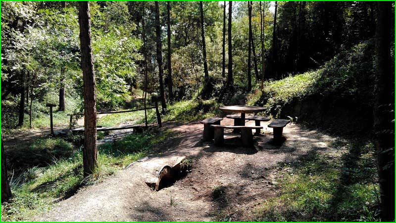 track Bosc Encantat en Barcelona
