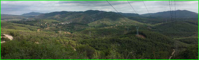 track Bosc Espès - Puig Pelagons - Bosc Rodó - Bosc Cases Blanques en Barcelona