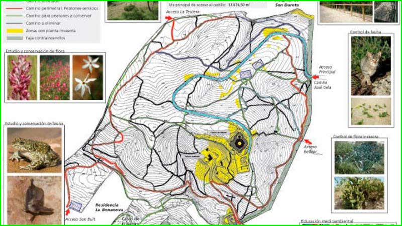 ruta Bosque Bellver en Barcelona