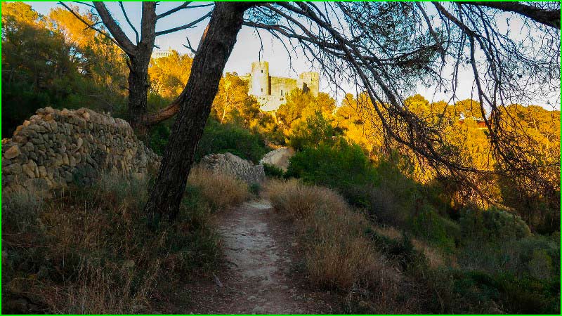 track Bosque Bellver en Barcelona