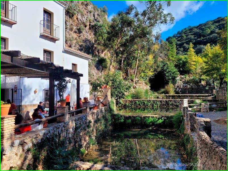 ruta Bosque de Cobre en Málaga