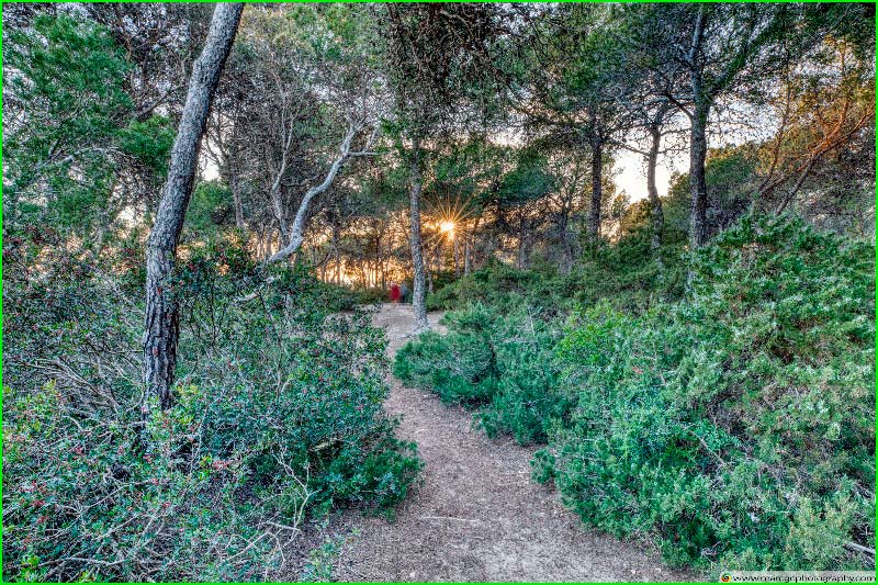 track Bosque de la Marquesa en Barcelona