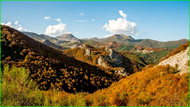 ruta Bosque de las Hayas de Yosa en Huesca