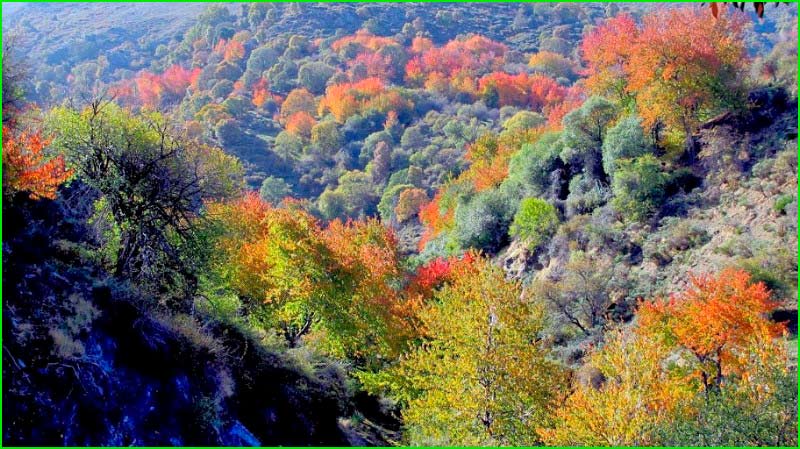 Parque Nacional Sierra Nevada en Granada