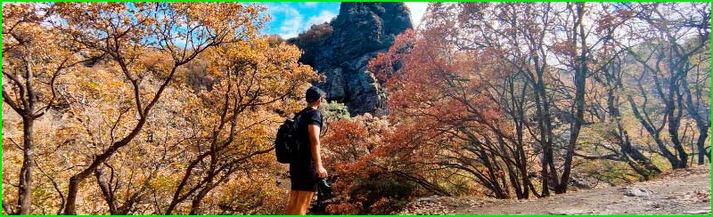 track Bosque Encantado - Alto de los Catifas en Granada