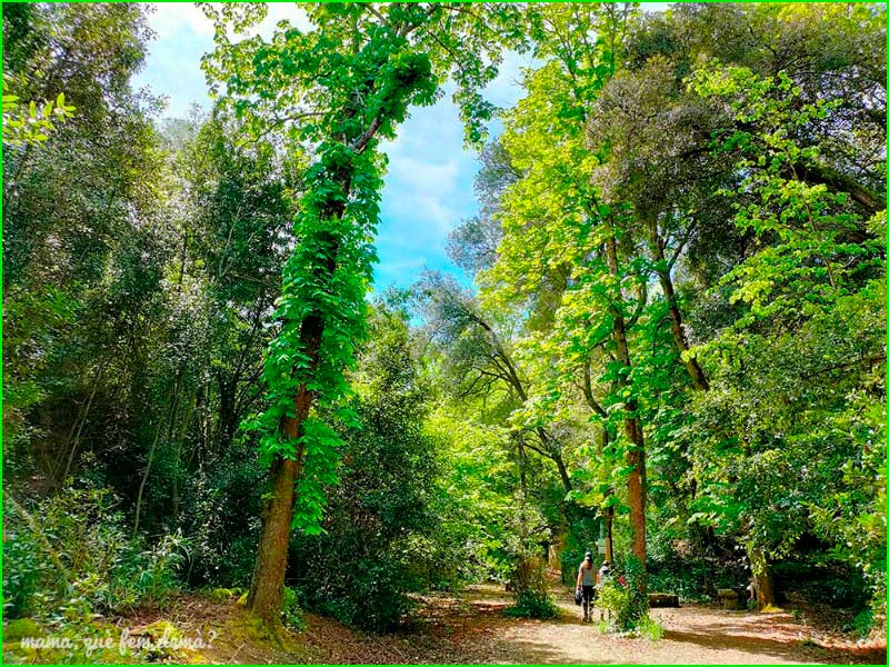 ruta Bosque Grande de Can Catà en Barcelona