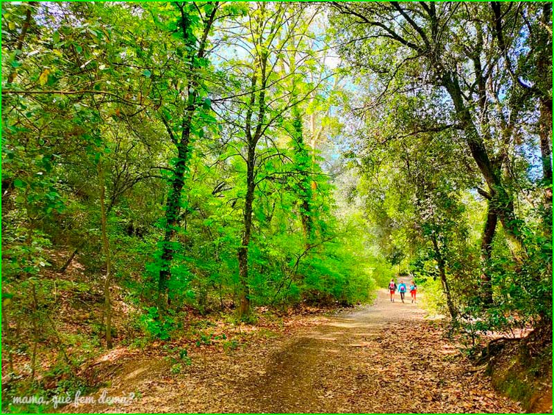 ruta por Parc de Collserola
