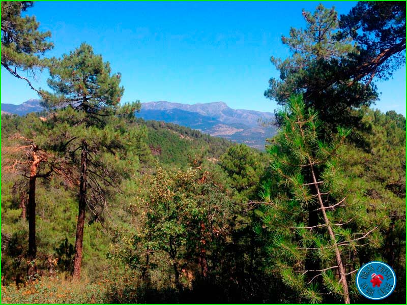 ruta Bosque Plateado - Fuente Arroyo de las Chorreras - Las Conejeras en Madrid
