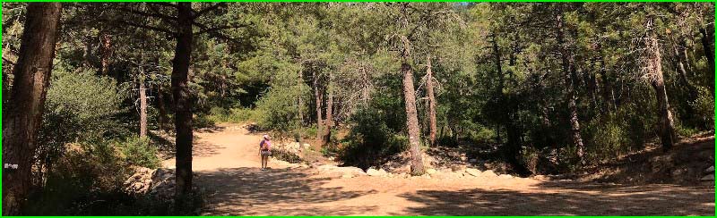 track Bosque Plateado - Fuente Arroyo de las Chorreras - Las Conejeras en Madrid