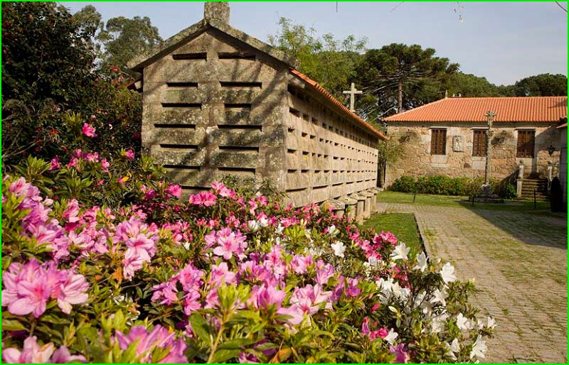 ruta por Vigo, Provincia de Pontevedra