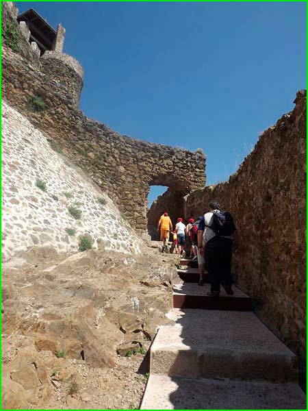 Parc Natural del Montseny en Barcelona