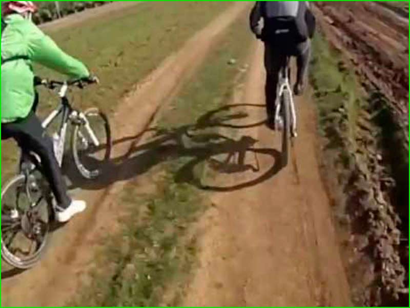 ruta Brenes Biciaventura 2010 en Sevilla