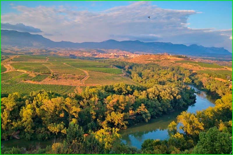 ruta Briones - Rodezno - Ollauri - Gimileo en La Rioja