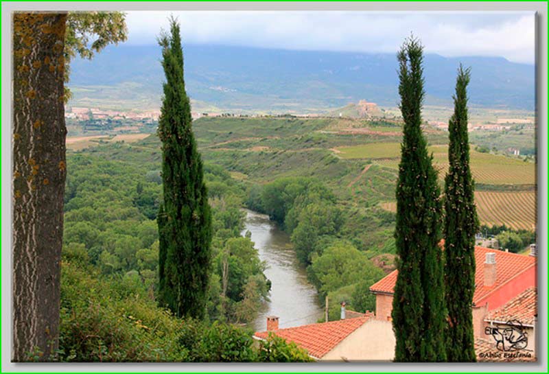 track Briones - Rodezno - Ollauri - Gimileo en La Rioja