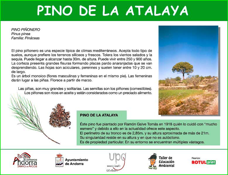 ruta BTT 3- Árboles singulares de Andorra en Teruel