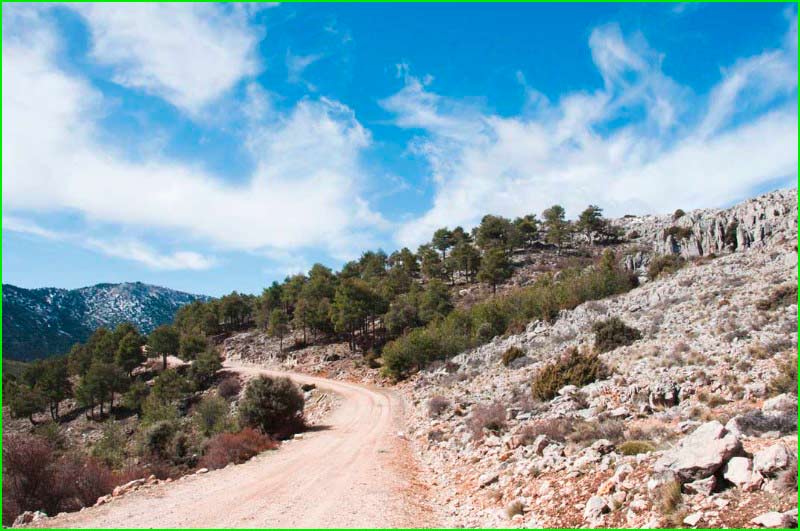 ruta BTT Nerpio 18 en Albacete