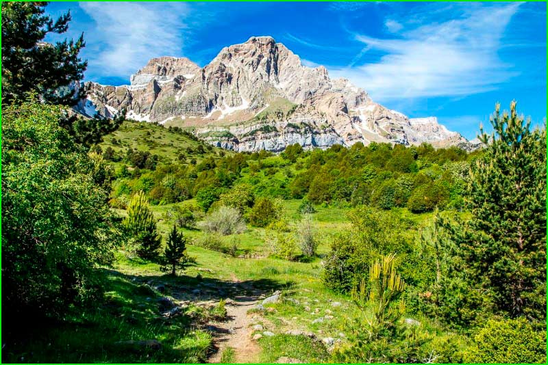 Parque Faunistico La Cuniacha en Huesca