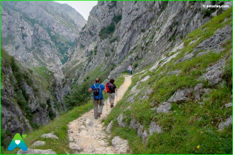 Parque Nacional Picos de Europa en Asturias