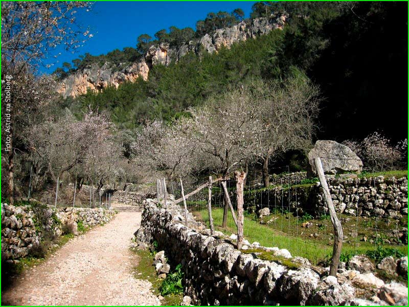 Bunyola en Baleares