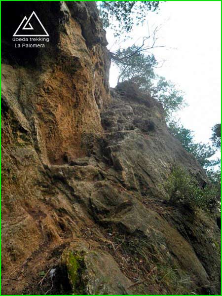 ruta por Parque Natural Sierras de Cazorla, Segura y Las Villas