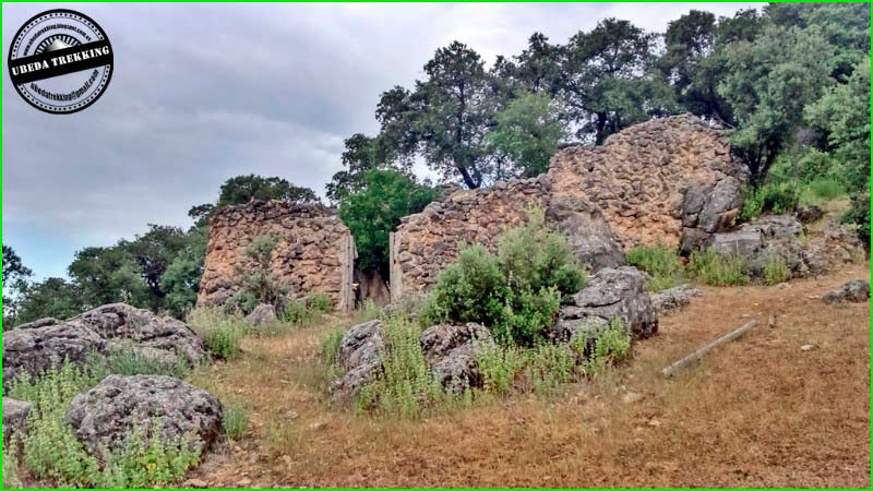 ruta Burunchel - Sagreo - Viñuela - Puerto de los Arenales en Granada