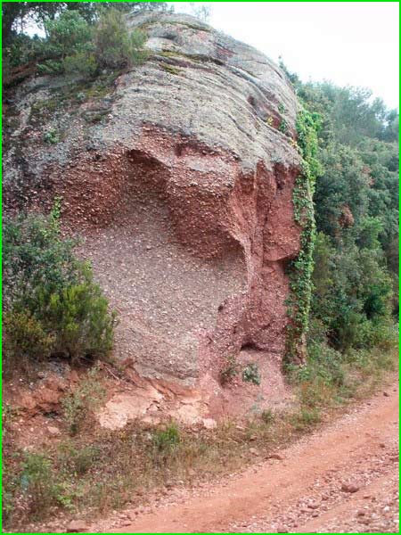 track Ca n'Abat - Mas Guilera - Creu de l'Aragall - Pedra Vermella en Barcelona