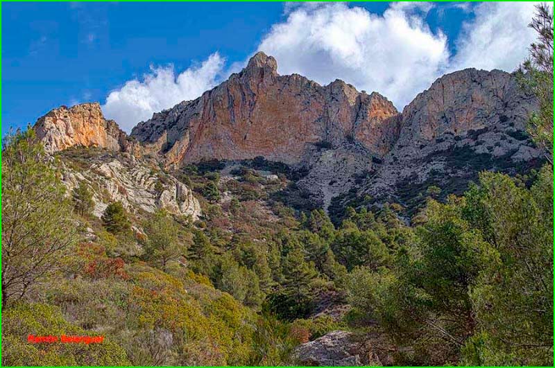 ruta por Paisatge Protegit de la Serra del Maigmó i Serra del Sit