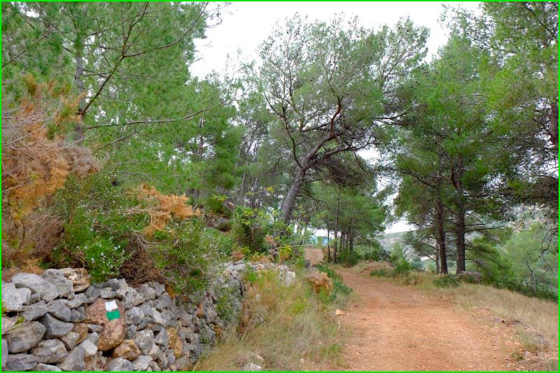 ruta Cabanes - El Tossal Redó en Castellón