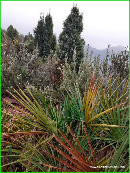 Parque Natural del Desierto de las Palmas en Castellón