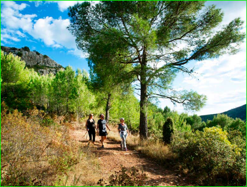 Cabanes en Castellón