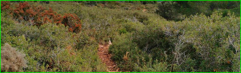 Cabanes en Castellón