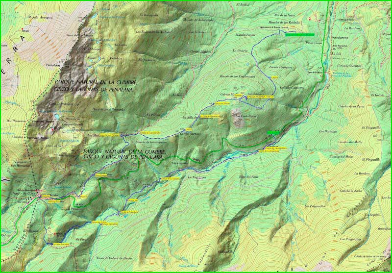 ruta por Plantación Forestal
