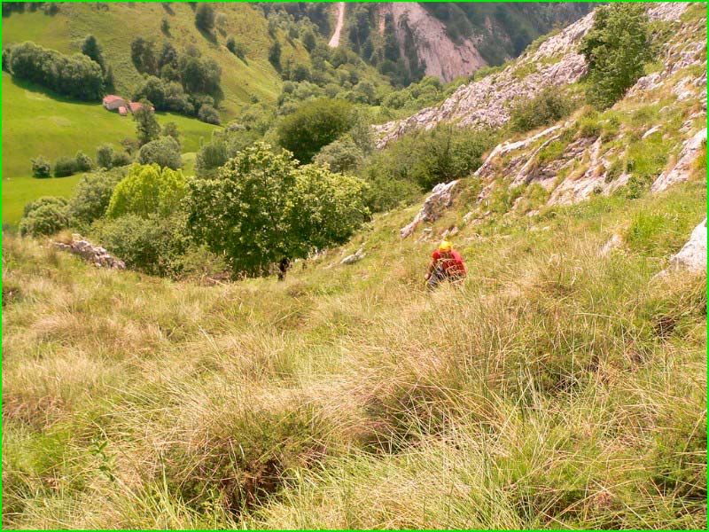 Cabrales en Asturias