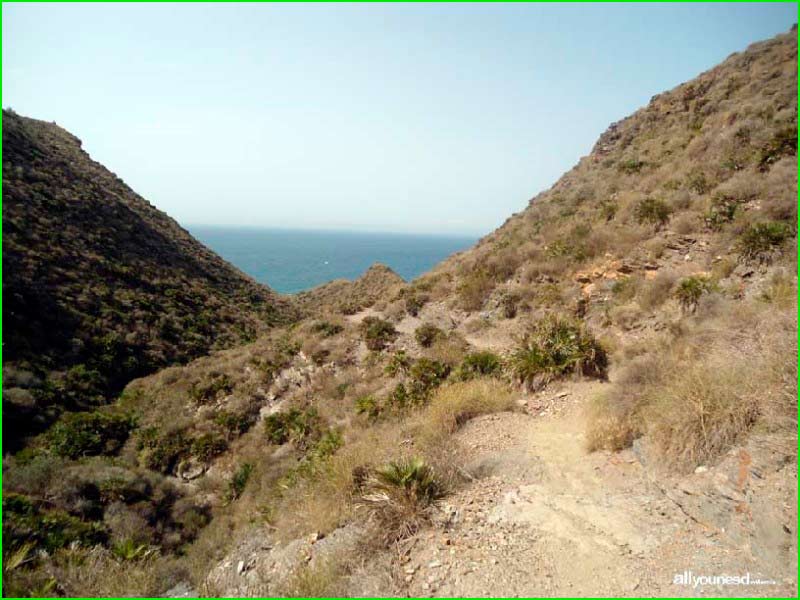 Parque Regional de Calblanque en Murcia