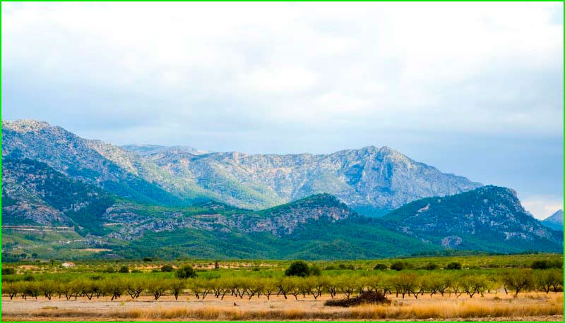 track Cabezo del Mortero en Murcia