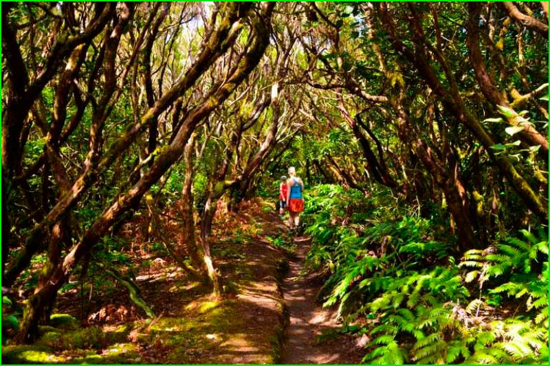 Parque Rural de Anaga en Santa Cruz de Tenerife