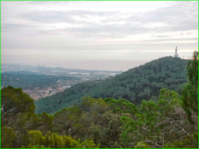 ruta Cabrils - Turó d'en Lloberes - Vallromanes en Barcelona