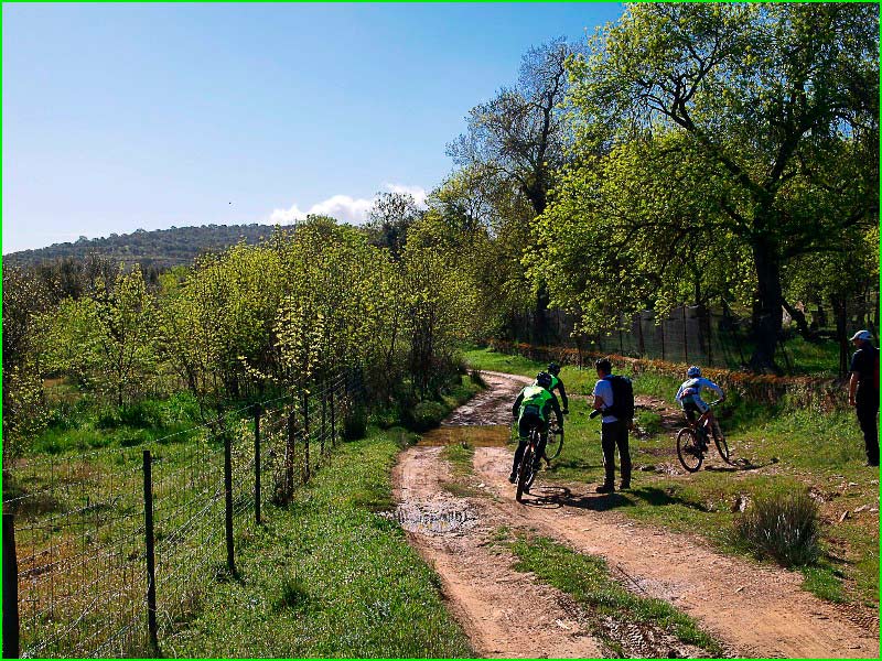 track Cáceres - Sierra De Fuentes en Cáceres