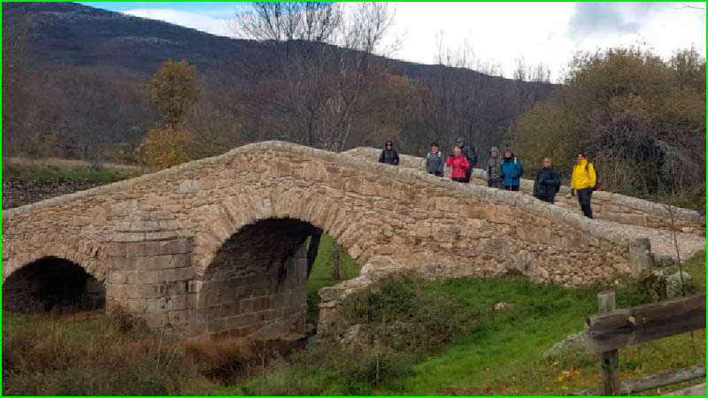 Canencia en Madrid